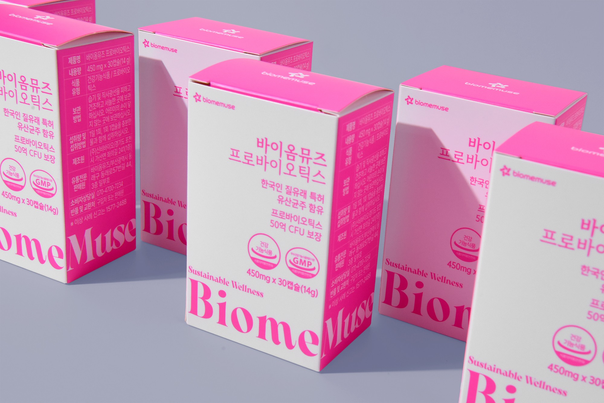 신규 포트폴리오