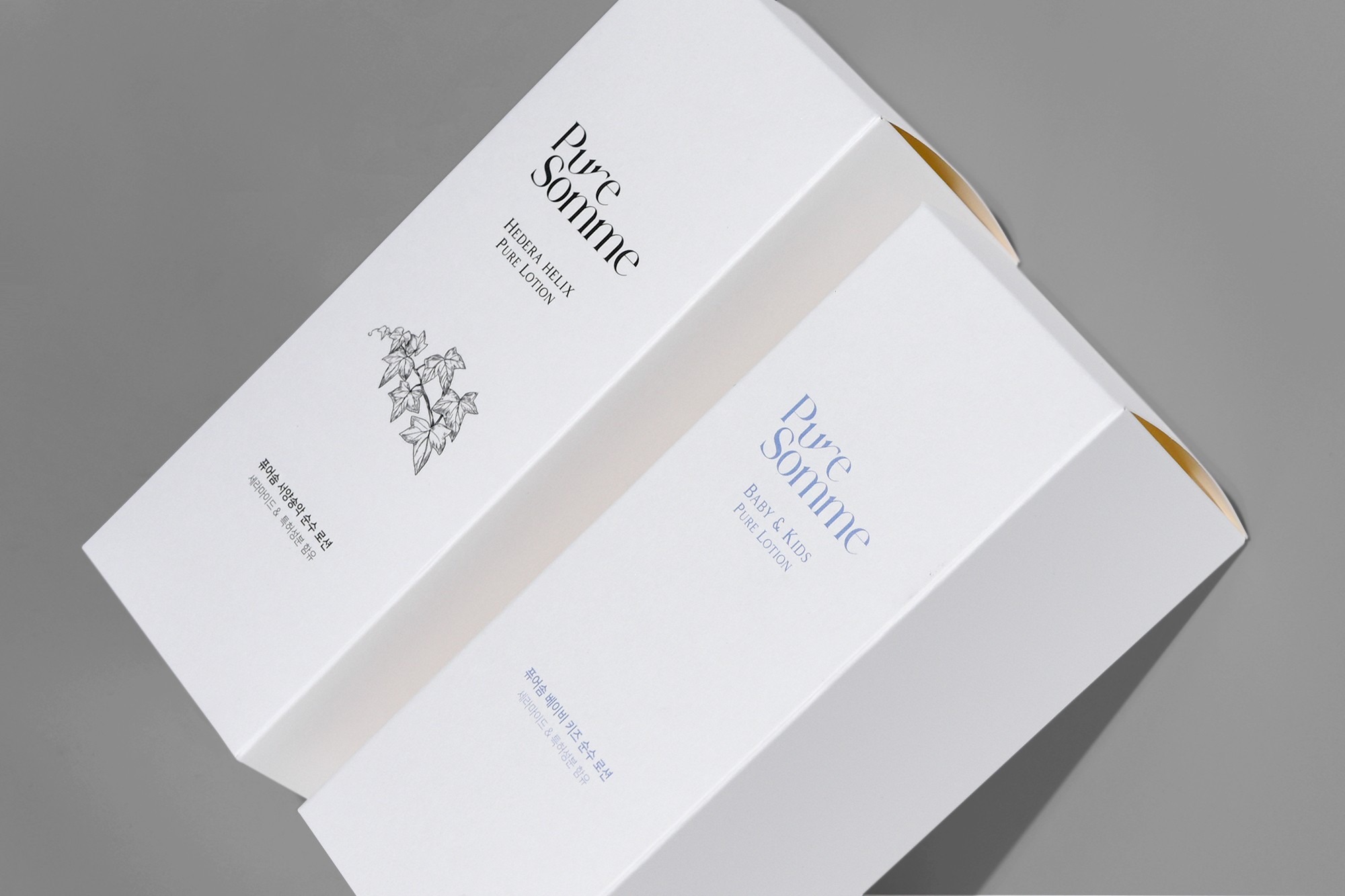 신규 포트폴리오