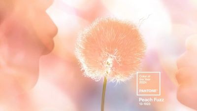 2024 올해의 팬톤컬러 '피치 퍼즈'
(Peach Fuzz) 썸네일