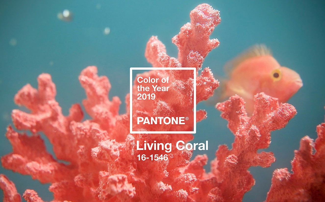 2019 팬톤 올해의 컬러
Living Coral
(PANTONE 16-1546) 썸네일