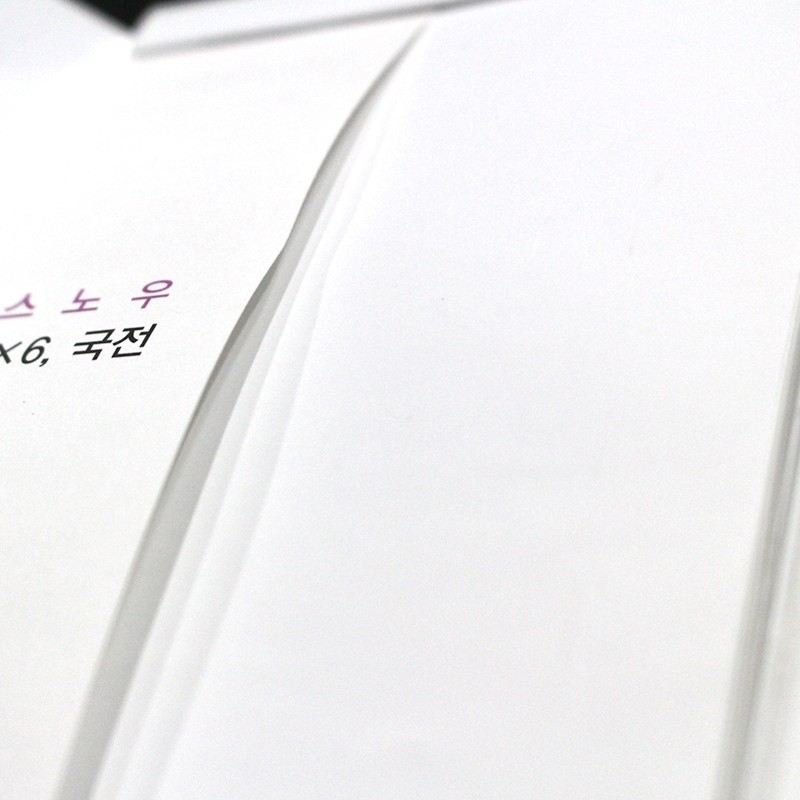 스노우지