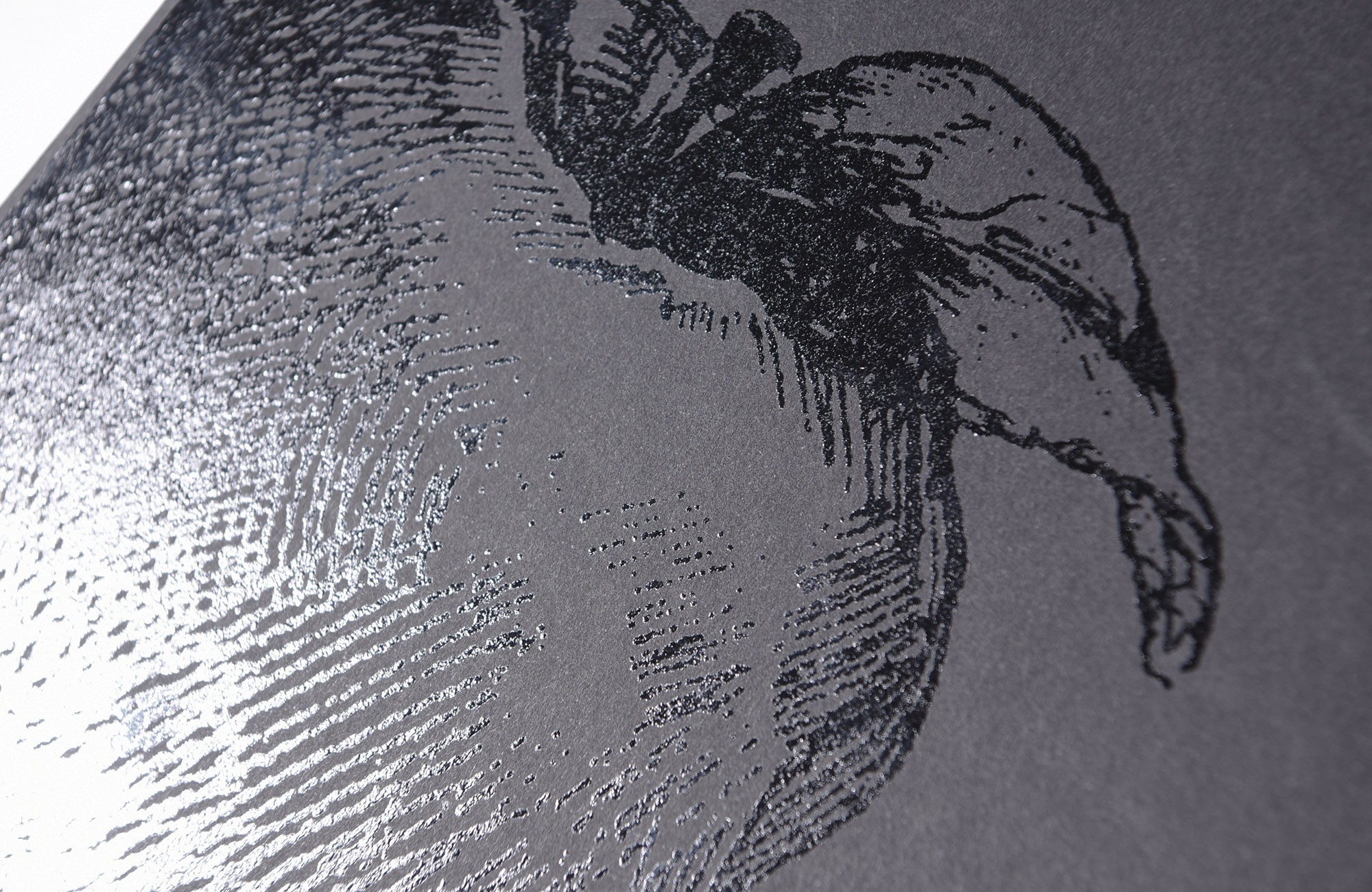 안동사과 프리미엄 선물세트 패키지 제작하여 6