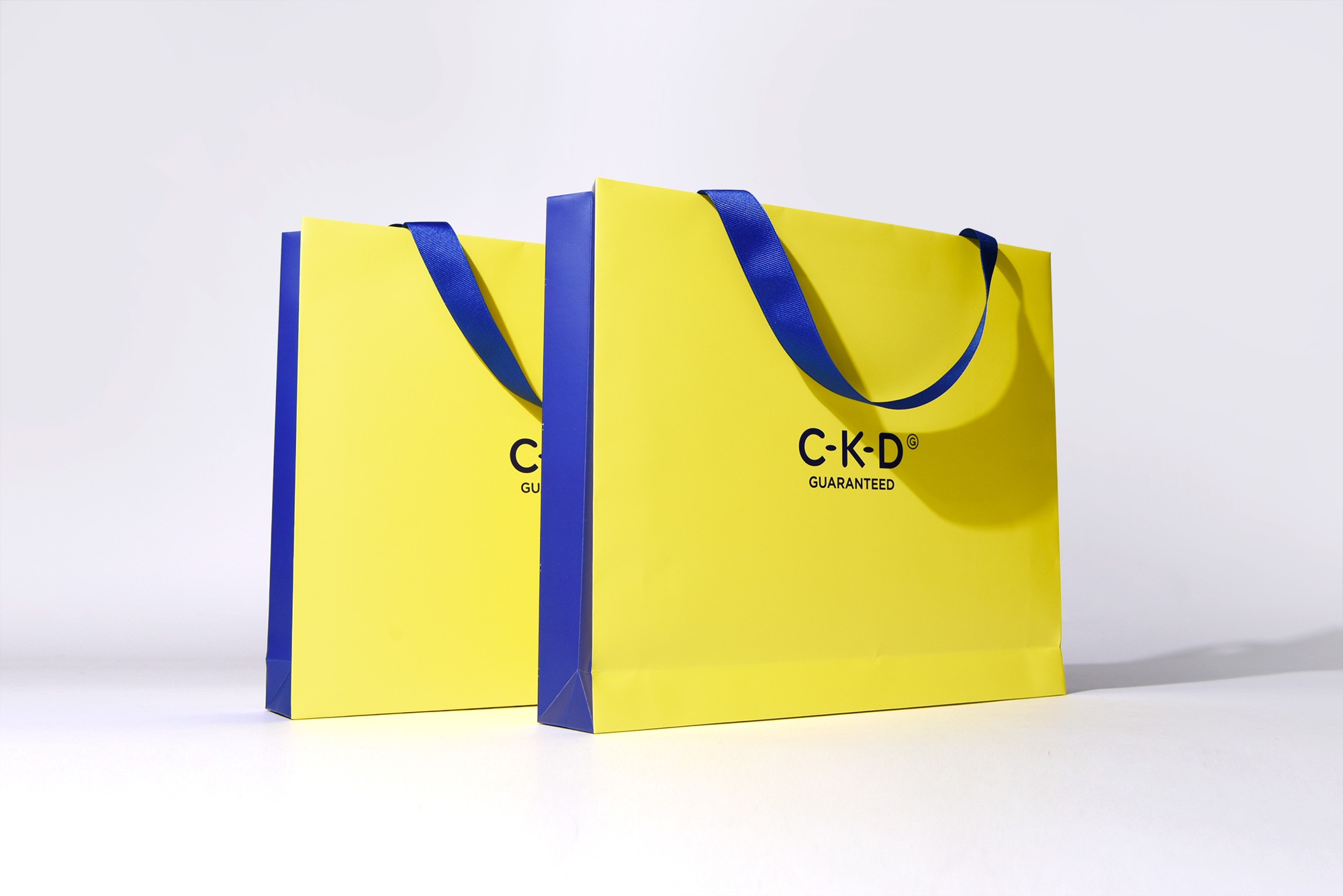 종근당 '미백의 정석' 화장품 시딩키트 쇼핑백 1번째