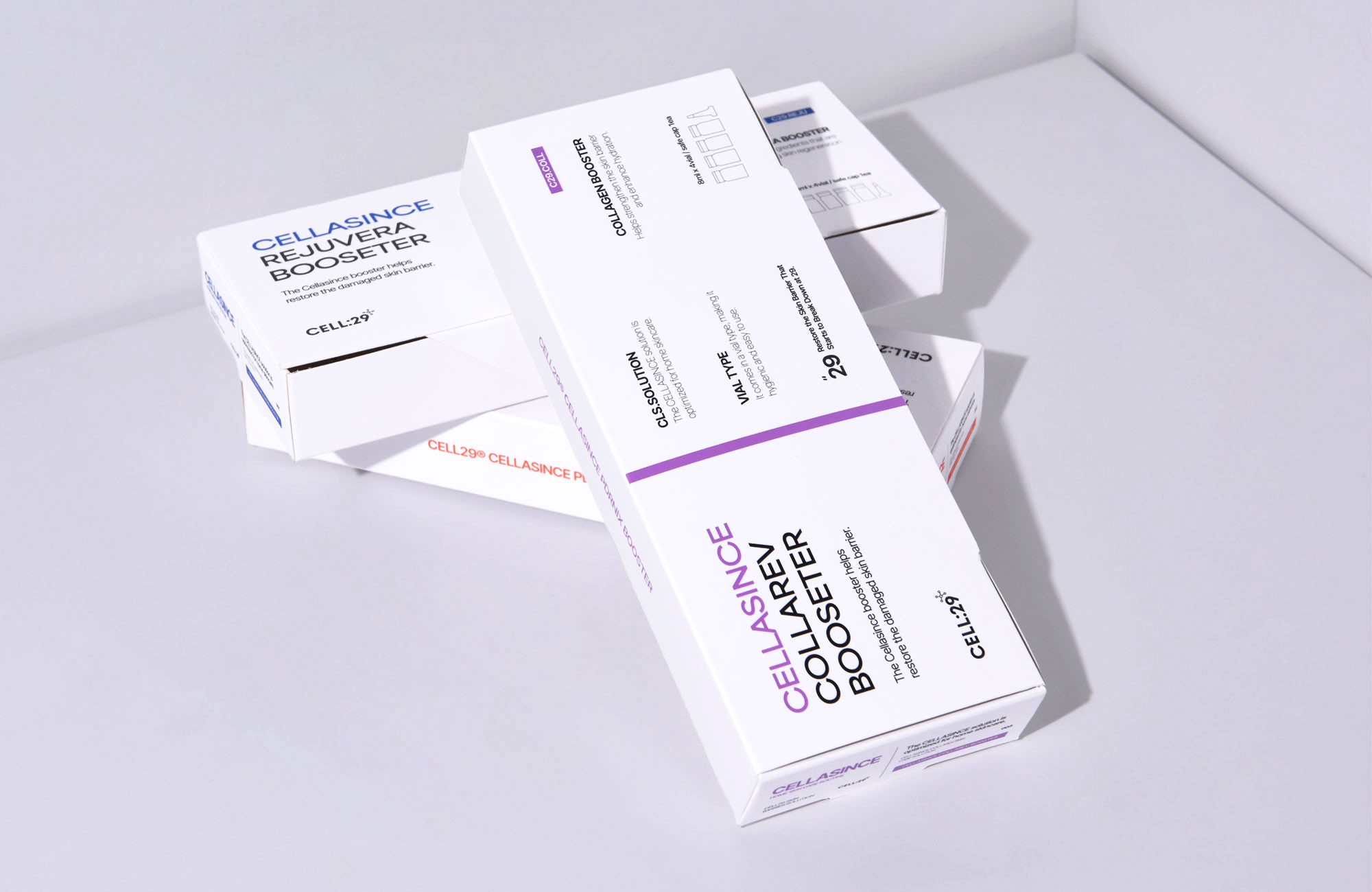 신규 포트폴리오